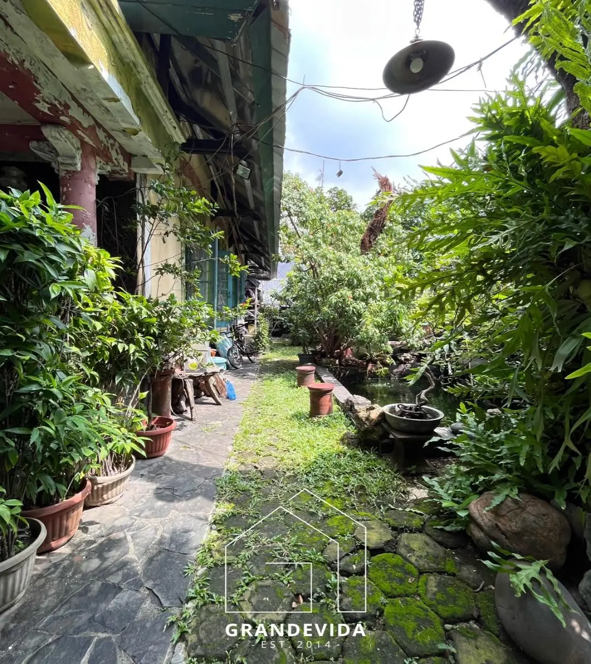 Foto 5